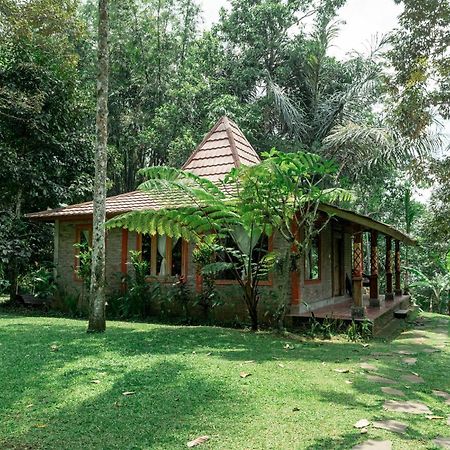 Saridevi Ecolodge จาตีลูวีห์ ภายนอก รูปภาพ