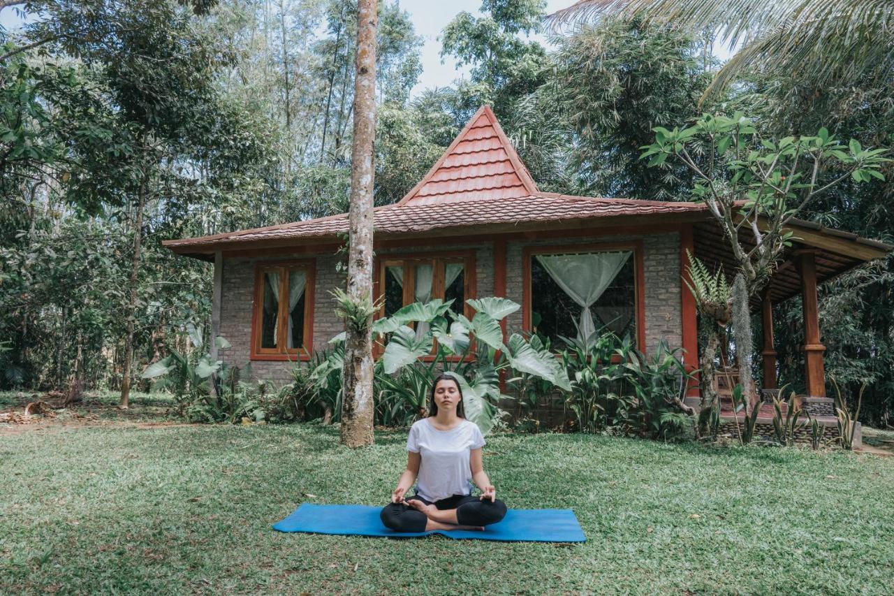 Saridevi Ecolodge จาตีลูวีห์ ภายนอก รูปภาพ